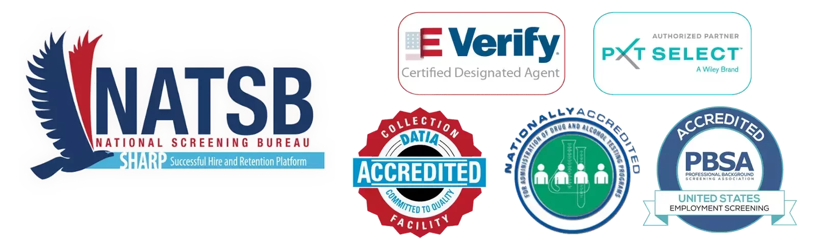 Main NATSB logo with Five accreditations/partners